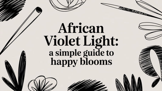 African Violet Light: A Simple Guide to Happy Blooms