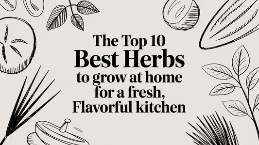 The Top 10 Best Herbs to Grow at Home for a Fresh, Flavorful Kitchen