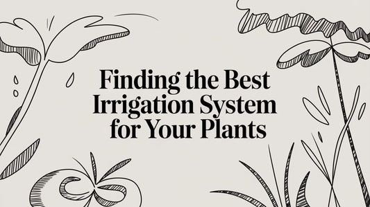 Finding the Best Irrigation System for Your Plants