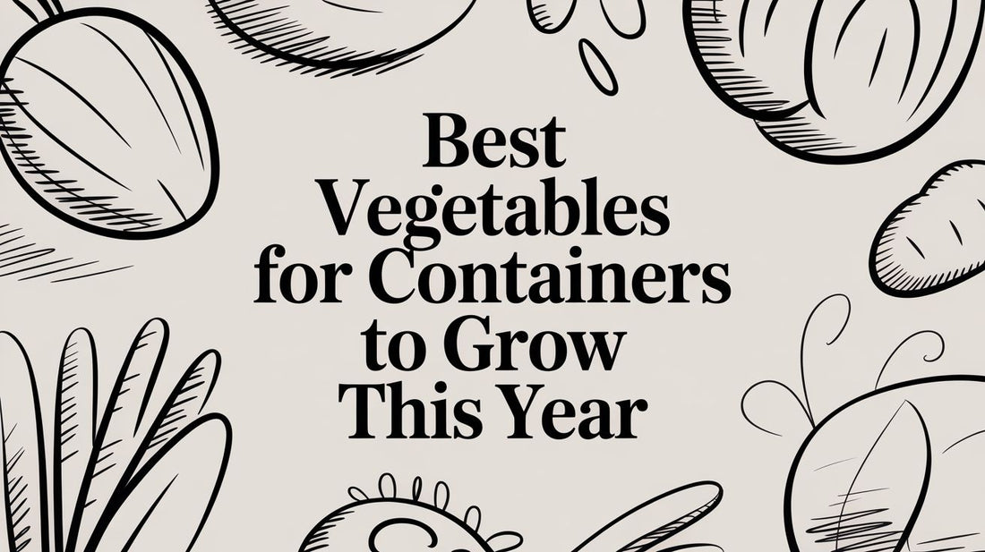Best Vegetables for Containers to Grow This Year