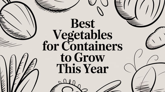 Best Vegetables for Containers to Grow This Year