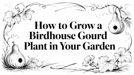 How to Grow a Birdhouse Gourd Plant in Your Garden