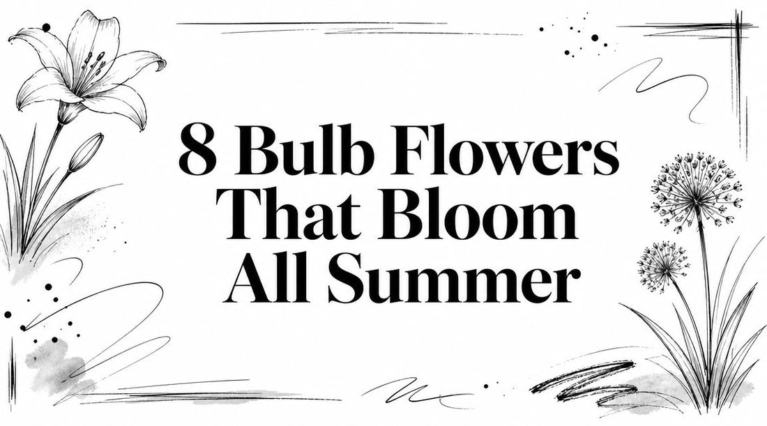 8 Bulb Flowers That Bloom All Summer