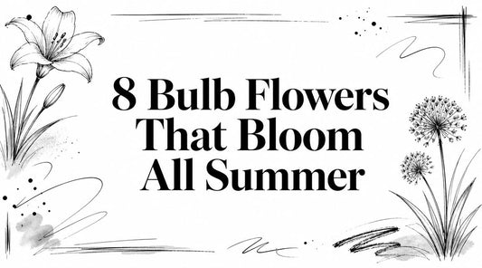 8 Bulb Flowers That Bloom All Summer