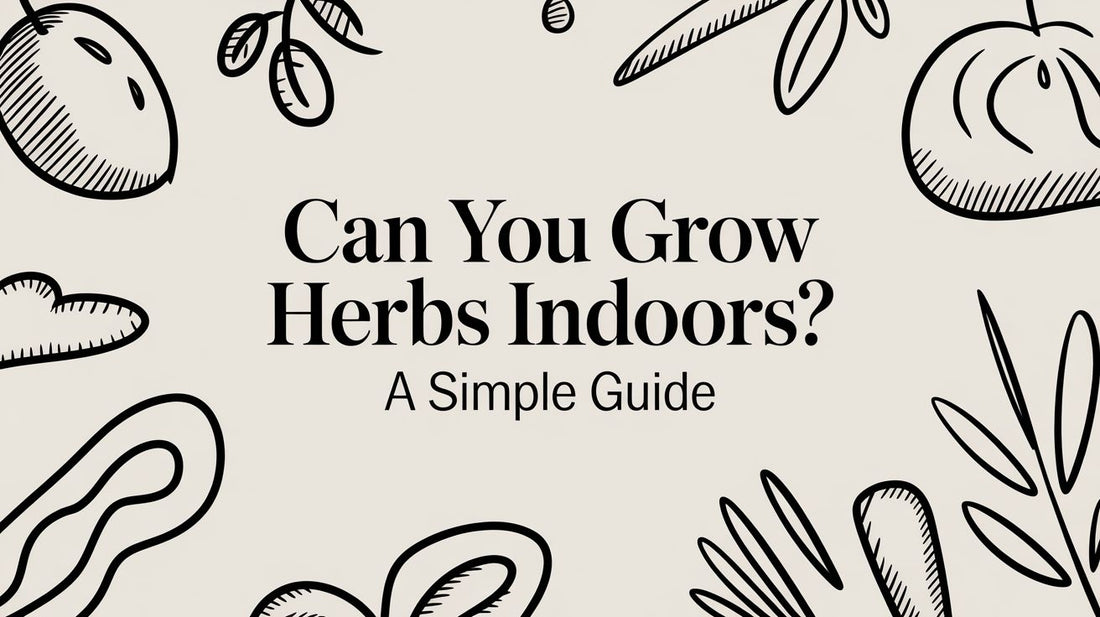 Can You Grow Herbs Indoors? A Simple Guide
