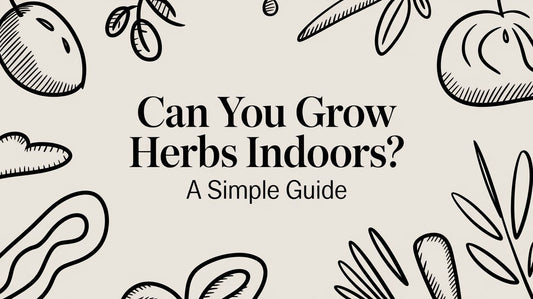 Can You Grow Herbs Indoors? A Simple Guide