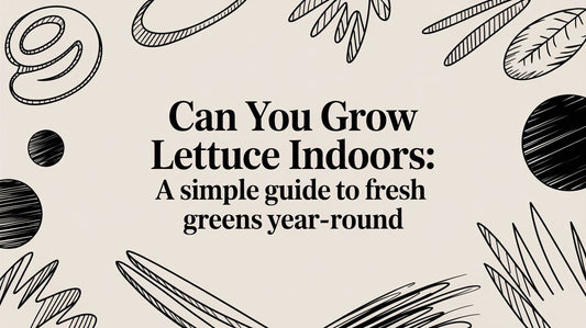 Can You Grow Lettuce Indoors: A Simple Guide to Fresh Greens Year-Round