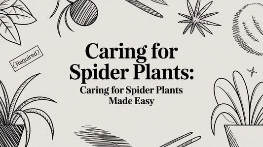 Caring for Spider Plants: A Beginner's Guide to Happy, Healthy Growth
