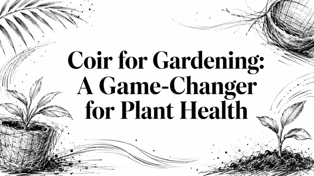 Coir for Gardening: A Game-Changer for Plant Health