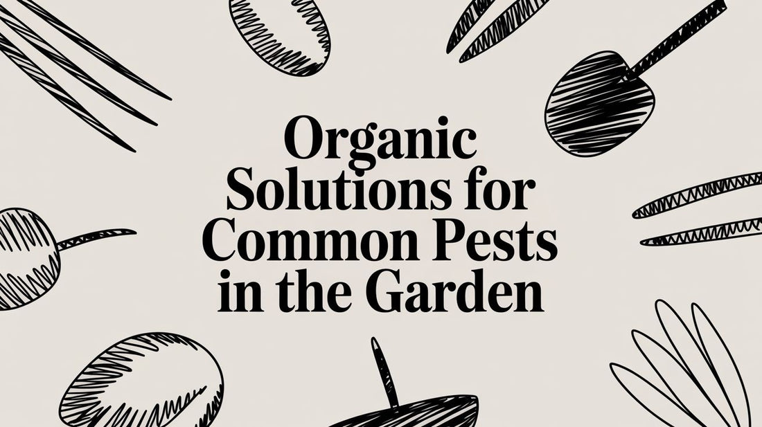 Organic Solutions For Common Pests In The Garden