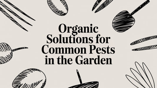 Organic Solutions For Common Pests In The Garden