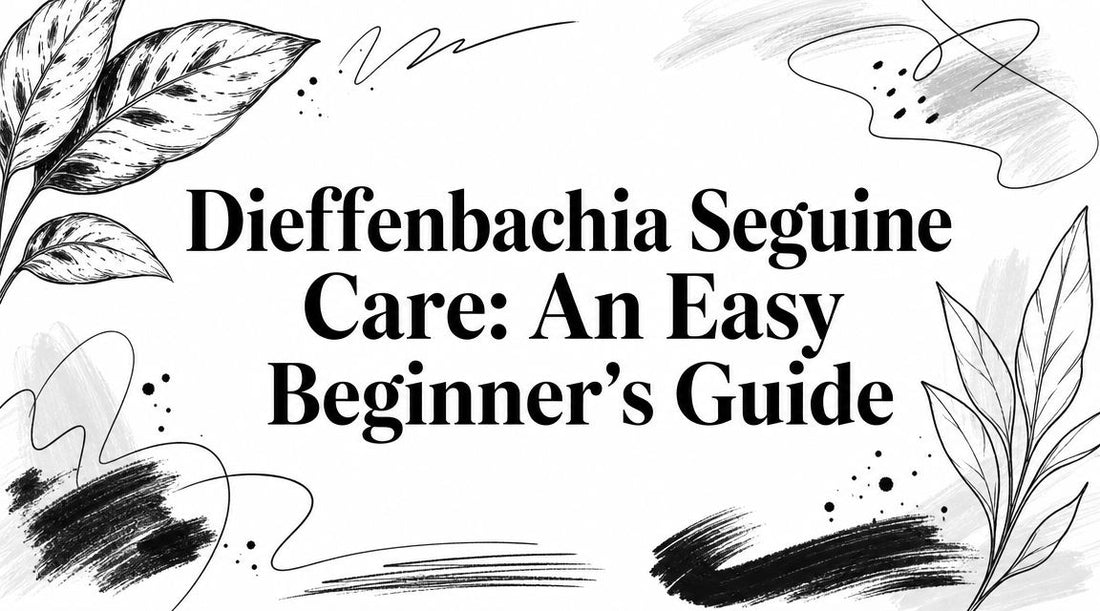 Dieffenbachia Seguine Care: An Easy Beginner's Guide