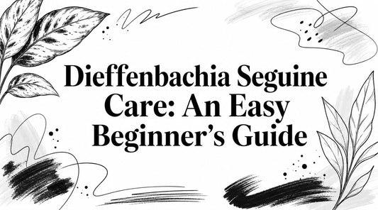 Dieffenbachia Seguine Care: An Easy Beginner's Guide