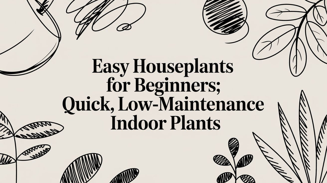 Easy houseplants for beginners: A calm guide to happy indoor plants
