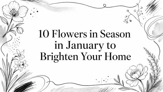 10 Flowers in Season in January to Brighten Your Home