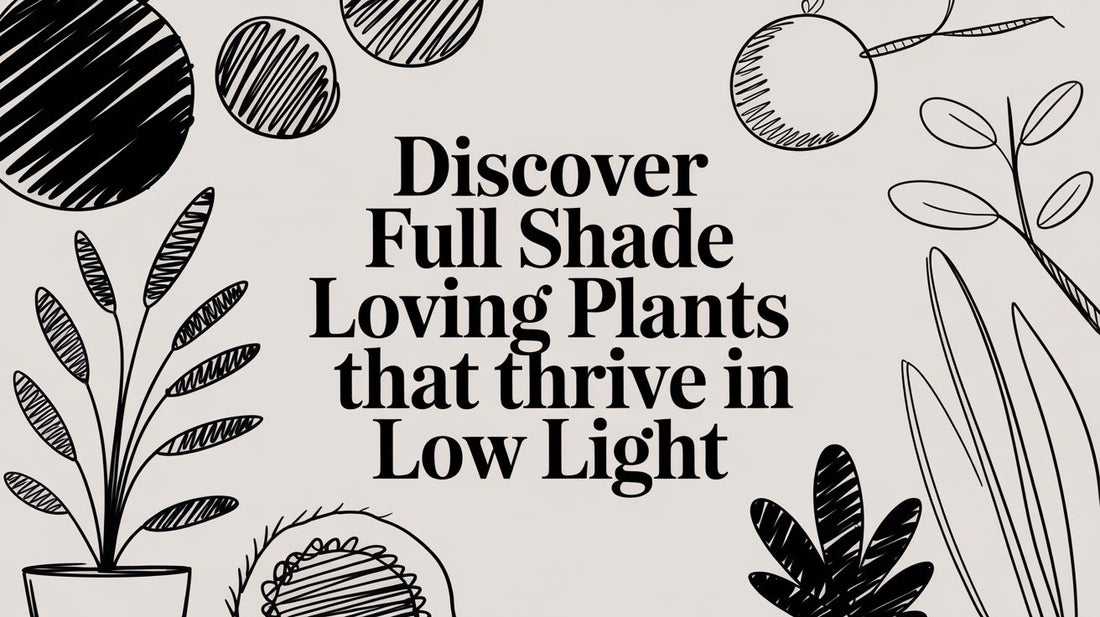 Discover full shade loving plants that thrive in low light