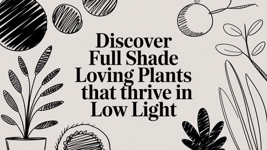 Discover full shade loving plants that thrive in low light