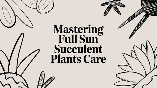 Mastering Full Sun Succulent Plants Care