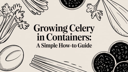 Growing Celery in Containers: A Simple How-To Guide