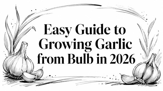 Easy Guide to Growing Garlic from Bulb in 2026