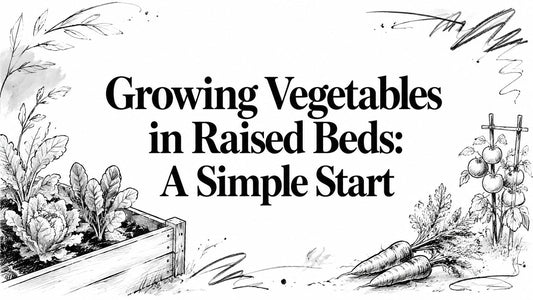 Growing Vegetables in Raised Beds: A Simple Start