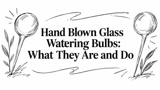 Hand Blown Glass Watering Bulbs: What They Are and Do