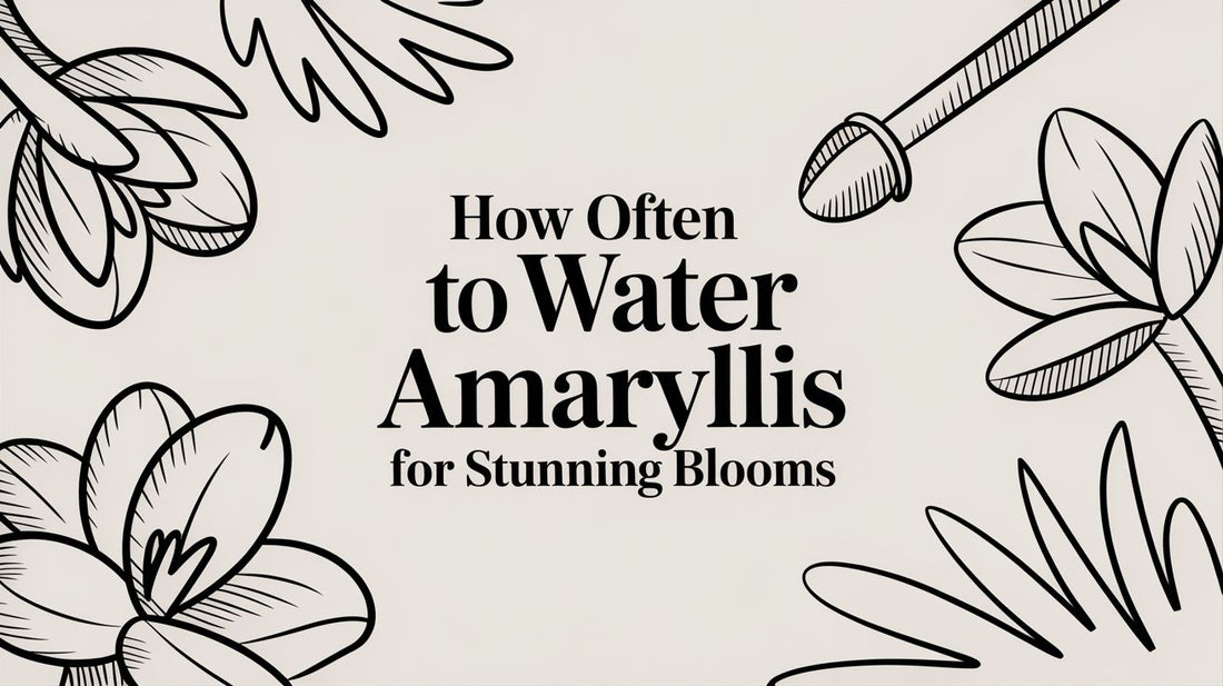 How Often to Water Amaryllis for Stunning Blooms