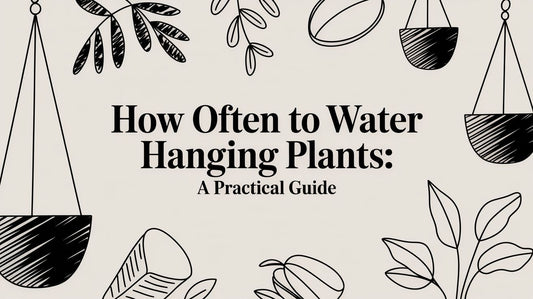How Often to Water Hanging Plants: A Beginner's Guide