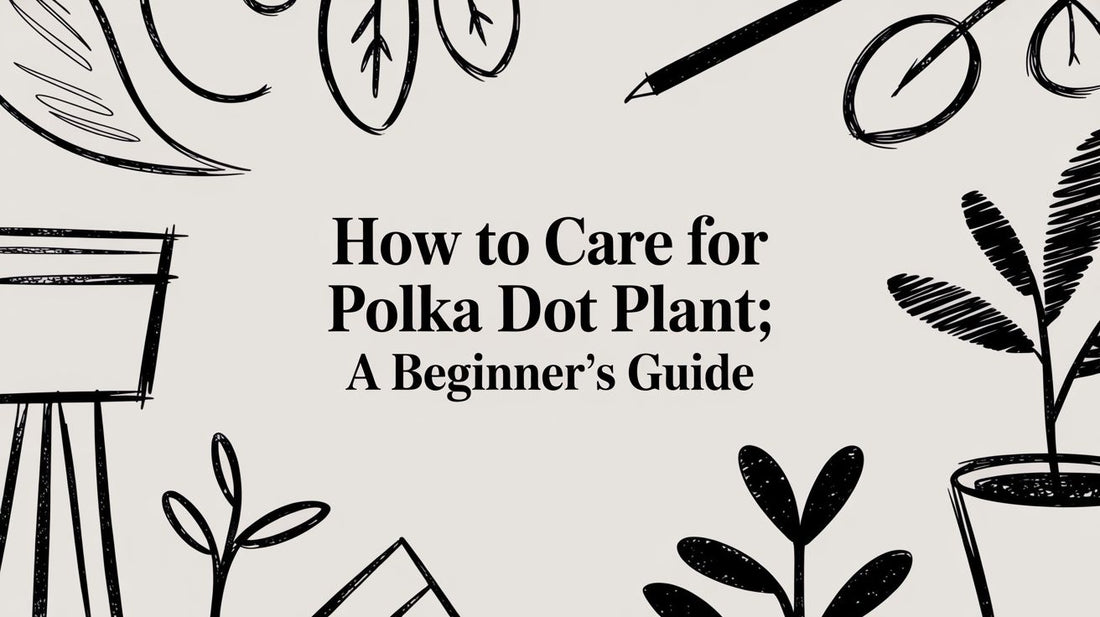 How to Care for Polka Dot Plant: A Beginner's Guide