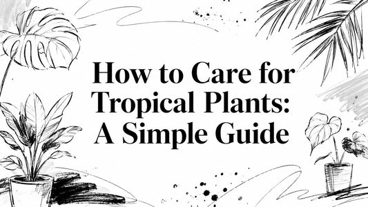 How to Care for Tropical Plants: A Simple Guide