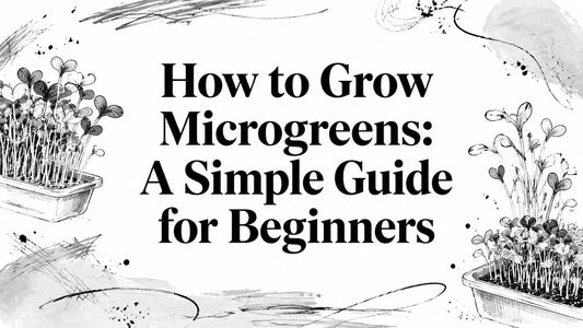 How to Grow Microgreens: A Simple Guide for Beginners