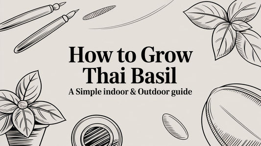 How to Grow Thai Basil: A Simple Indoor & Outdoor Guide