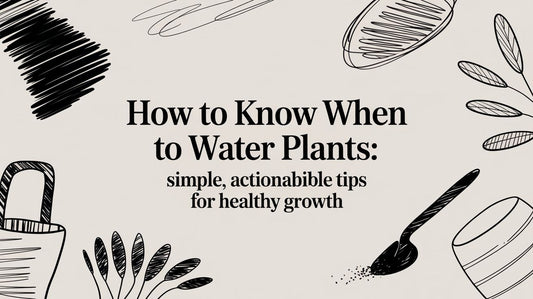 How to Know When to Water Plants: A Simple Guide to Happy Plants