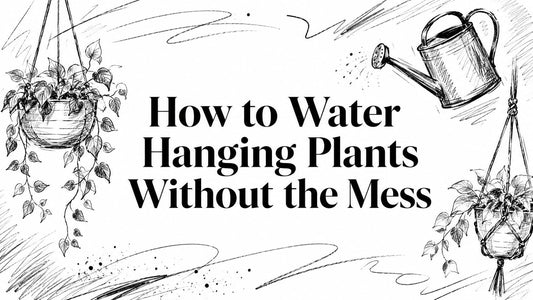 How to Water Hanging Plants Without the Mess