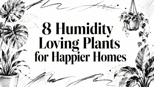 8 Humidity Loving Plants for Happier Homes