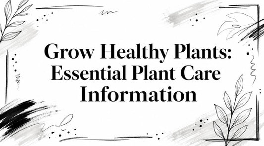 Grow Healthy Plants: Essential Plant Care Information