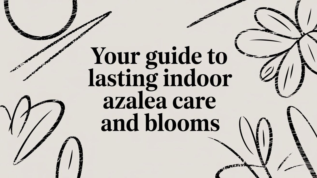 Your Guide to Lasting Indoor Azalea Care and Blooms