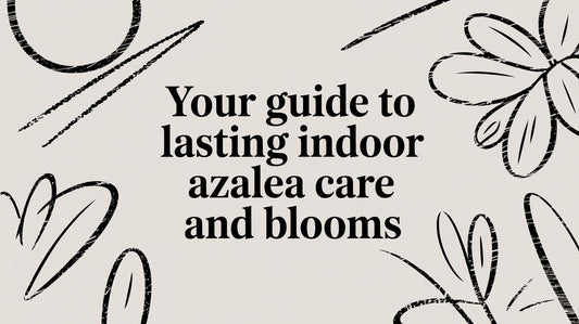 Your Guide to Lasting Indoor Azalea Care and Blooms