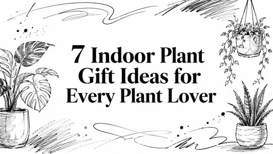 7 Indoor Plant Gift Ideas for Every Plant Lover