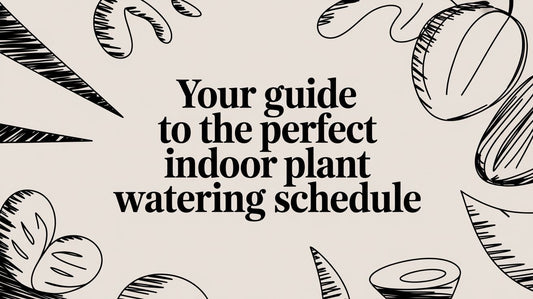 How to Create a Simple Indoor Plant Watering Schedule