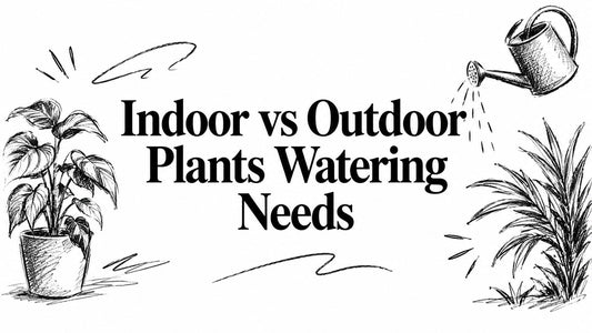 Indoor vs Outdoor Plants Watering Needs