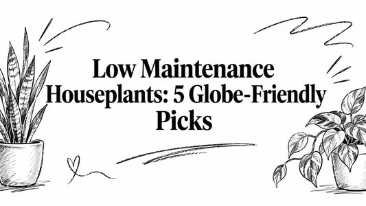 Low Maintenance Houseplants: 5 Globe-Friendly Picks
