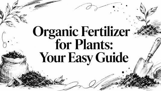 Organic Fertilizer for Plants: Your Easy Guide