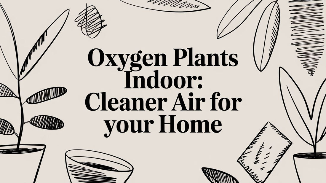 Oxygen Plants Indoor: Cleaner Air for Your Home