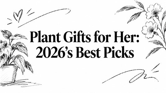Plant Gifts for Her: 2026's Best Picks