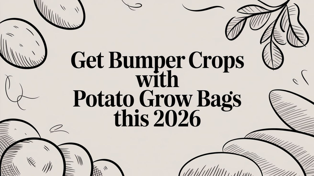 Get Bumper Crops with Potato Grow Bags This 2026