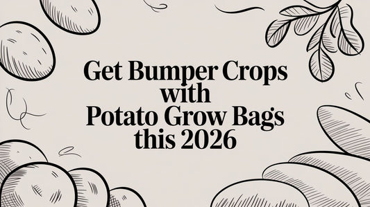 Get Bumper Crops with Potato Grow Bags This 2026