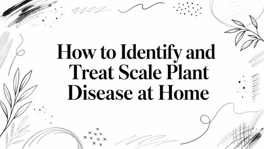 How to Identify and Treat Scale Plant Disease at Home