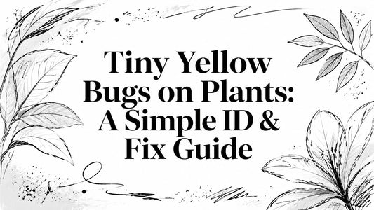 Tiny Yellow Bugs on Plants: A Simple ID & Fix Guide