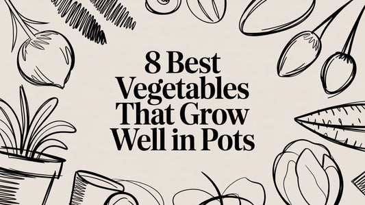 8 Best Vegetables That Grow Well in Pots